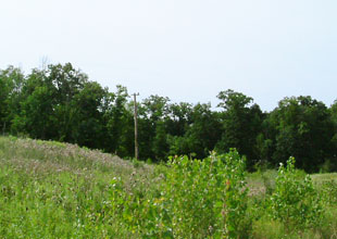 Petersburg Reclamation