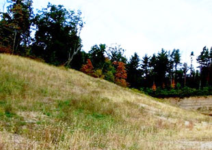 Massillon Reclamation